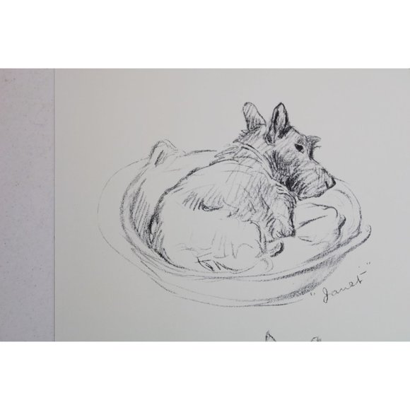 Lucy Dawson Dog Print Scottish Terrier Scotty Scottie 90680 - Picture 4 of 5